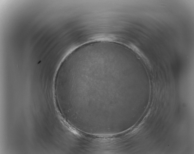 X0000067391240200604071745