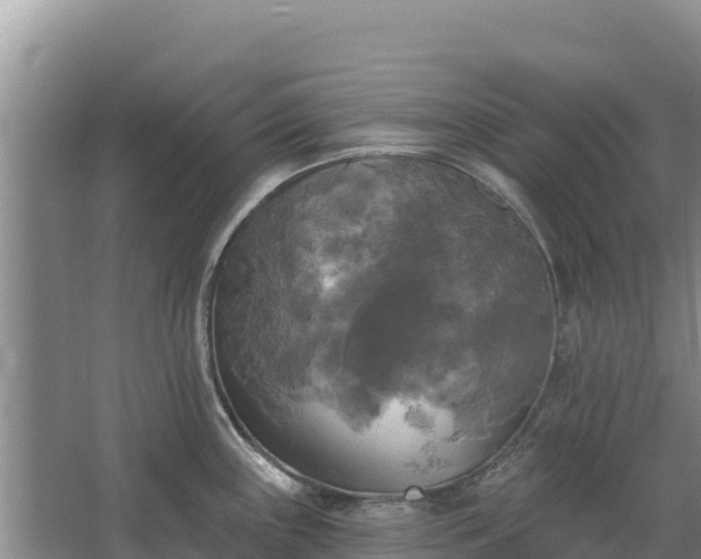 X0000067391243200604071745