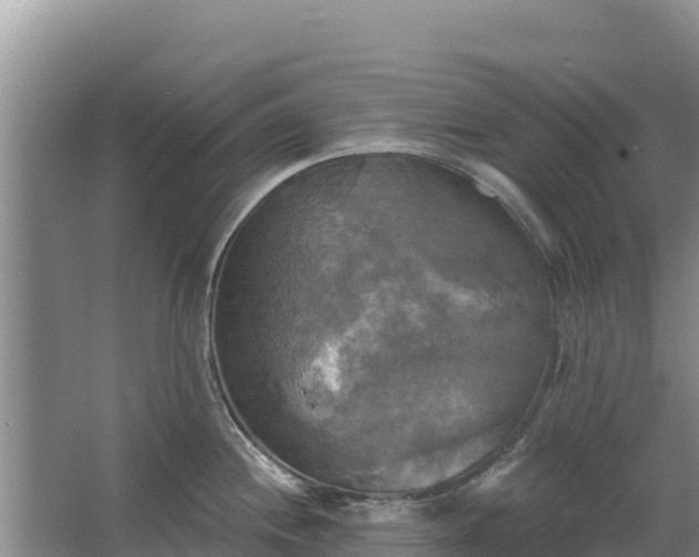 X0000067391244200604071745