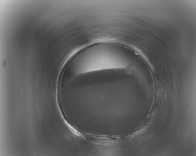 X0000067391245200604071745