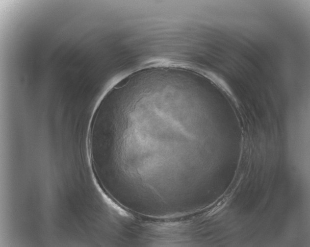 X0000067391247200604071745