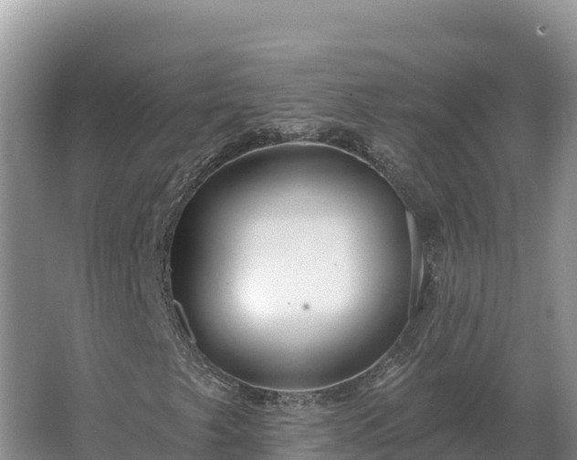 X0000067391249200604071744