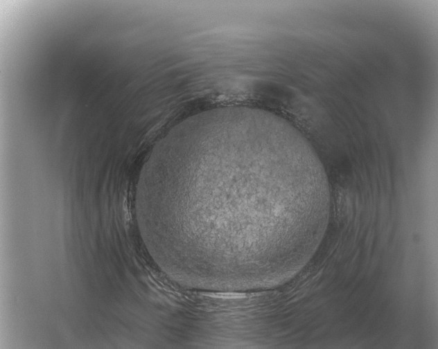 X0000067391250200604071744