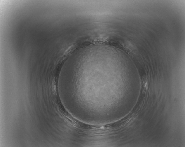 X0000067391252200604071744