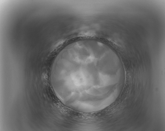 X0000067391254200604071744