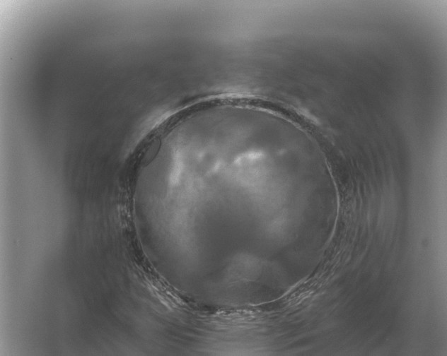 X0000067391255200604071744