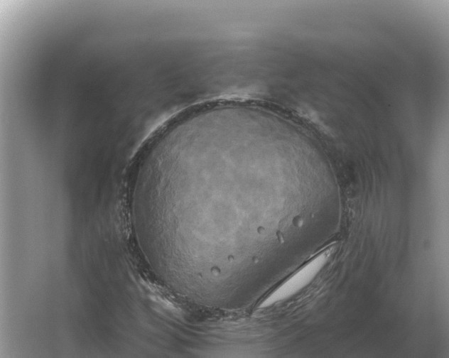 X0000067391256200604071744