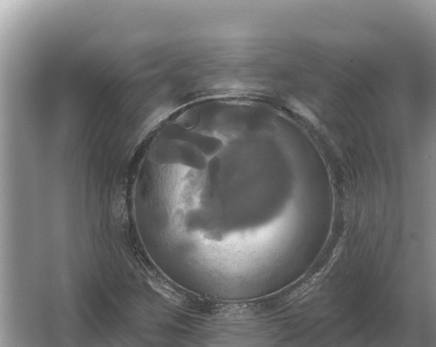 X0000067391259200604071744