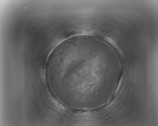 X0000067391260200604071744