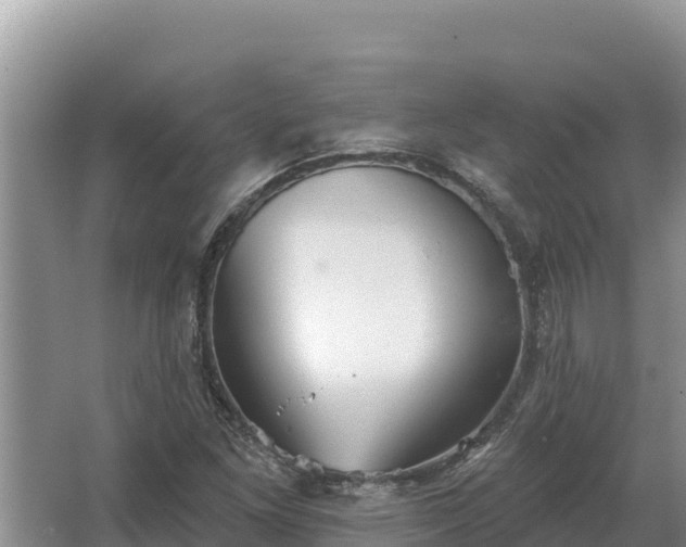 X0000067391261200604071744