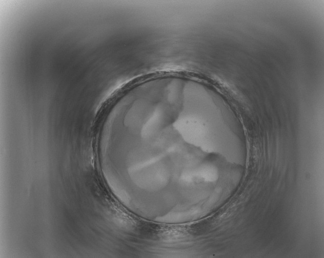 X0000067391262200604071744