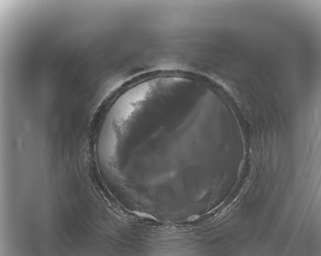 X0000067391263200604071744