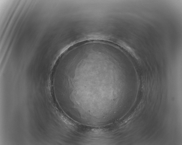 X0000067391264200604071744