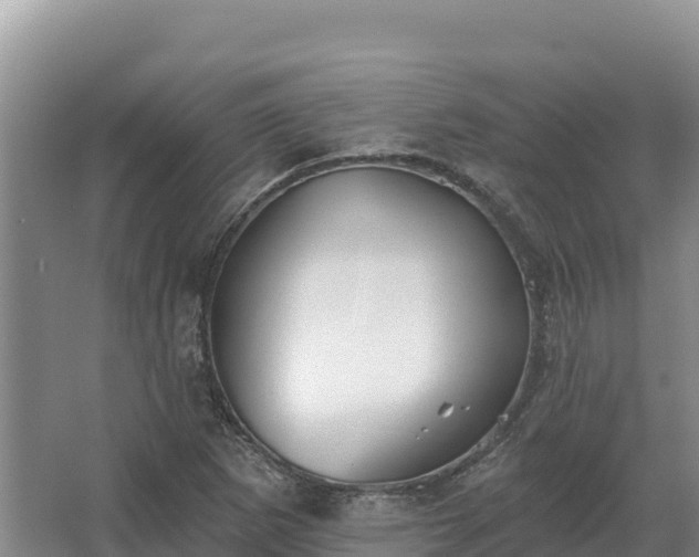 X0000067391265200604071744