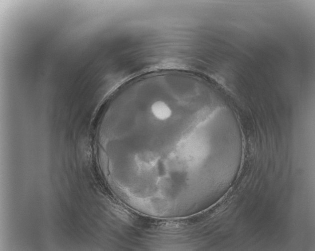 X0000067391266200604071744