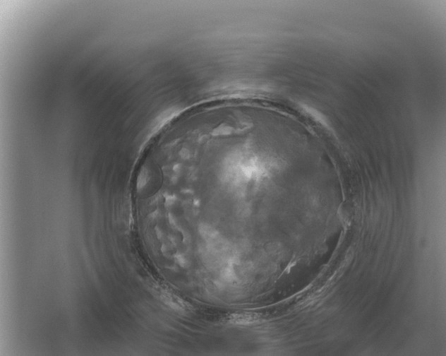 X0000067391267200604071744