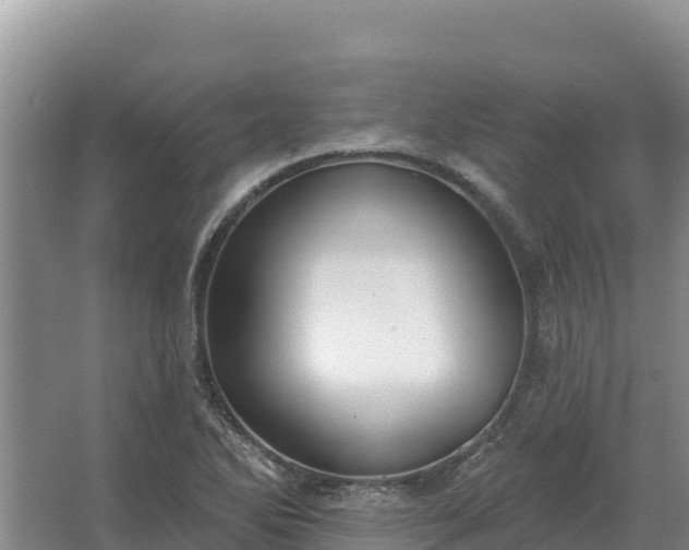 X0000067391270200604071744