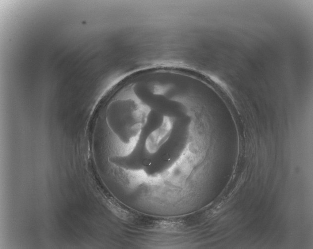 X0000067391271200604071744