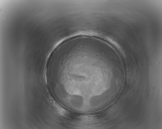 X0000067391272200604071744