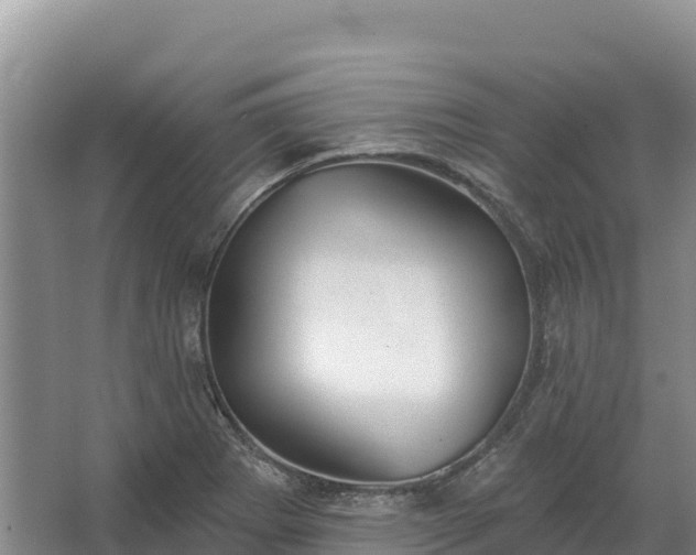 X0000067391273200604071744