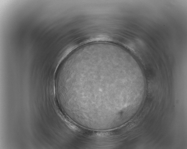 X0000067391274200604071744