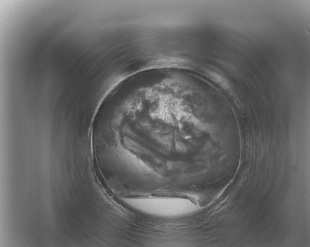 X0000067391275200604071744