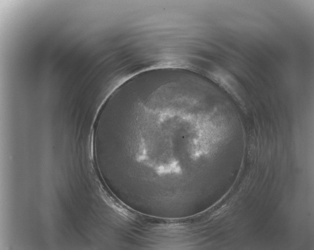 X0000067391276200604071744