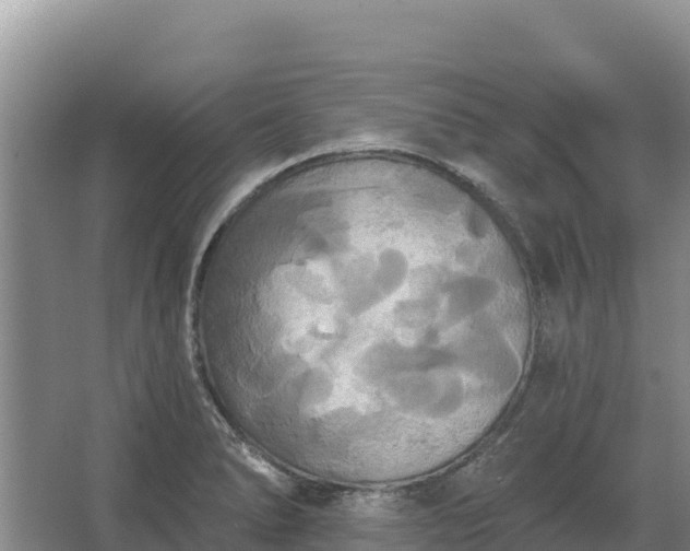 X0000067391278200604071744