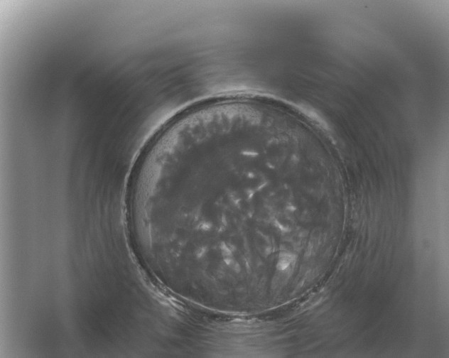 X0000067391279200604071744