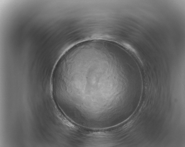 X0000067391280200604071744