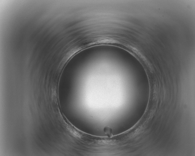 X0000067391281200604071744