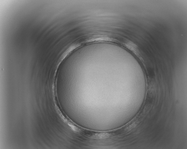 X0000067391282200604071744