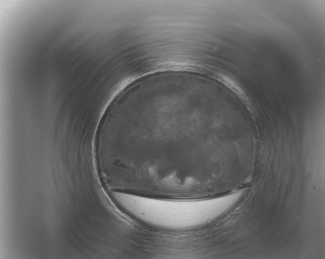 X0000067391283200604071744