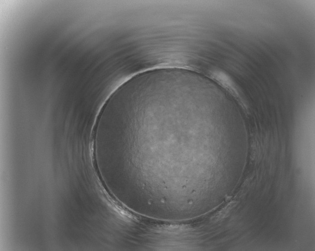 X0000067391284200604071744