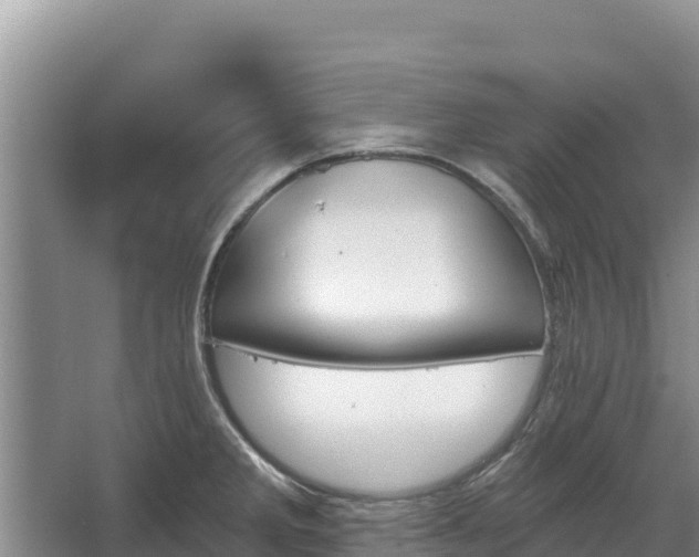 X0000067391285200604071744