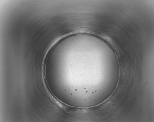 X0000067391286200604071744