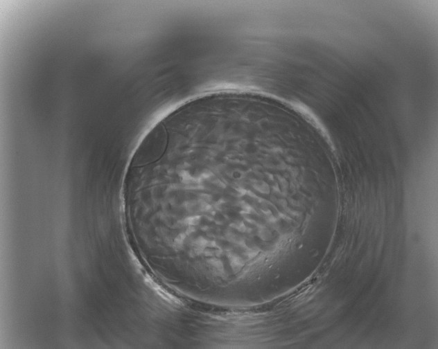 X0000067391287200604071744