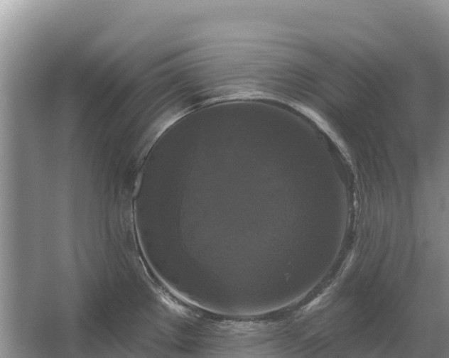 X0000067391289200604071744