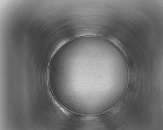 X0000067391290200604071744