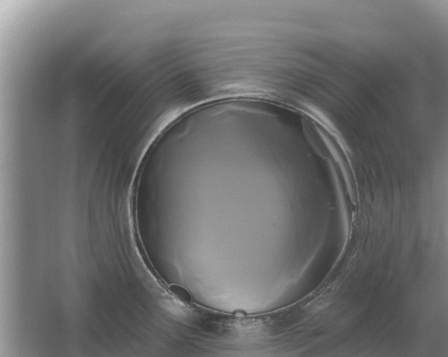 X0000067391291200604071744