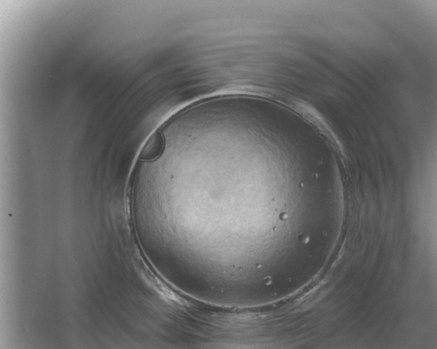 X0000067391292200604071744