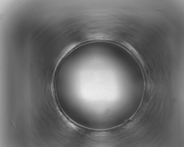 X0000067391293200604071744