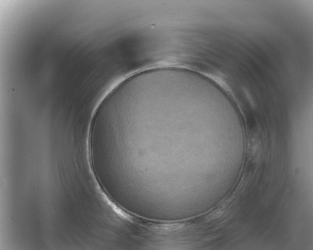 X0000067391294200604071744