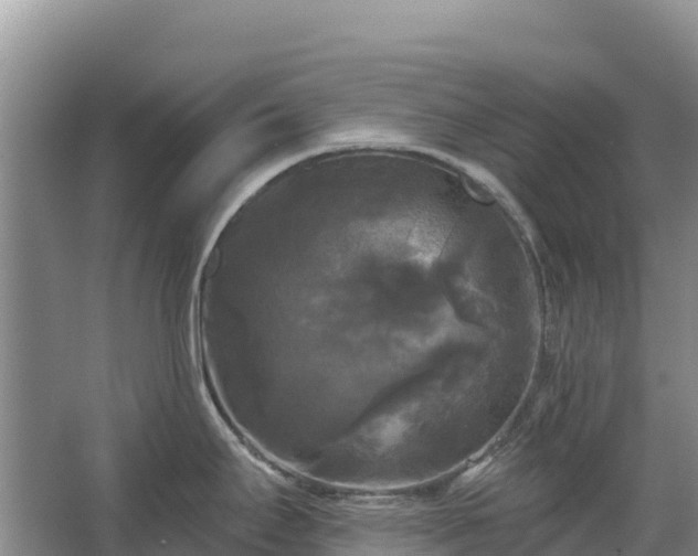 X0000067391295200604071744