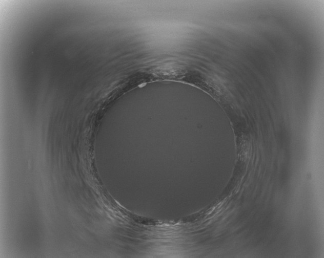 X0000067391297200604071743