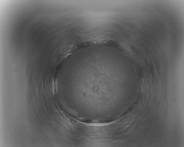 X0000067391298200604071743