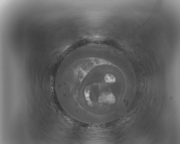 X0000067391301200604071743