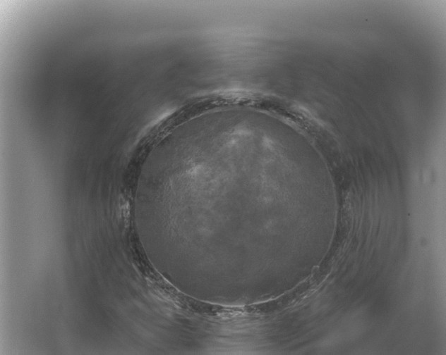 X0000067391302200604071743