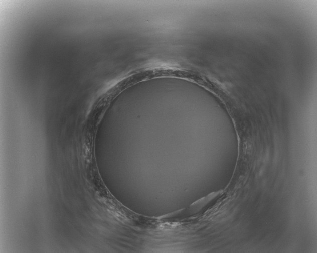 X0000067391303200604071743