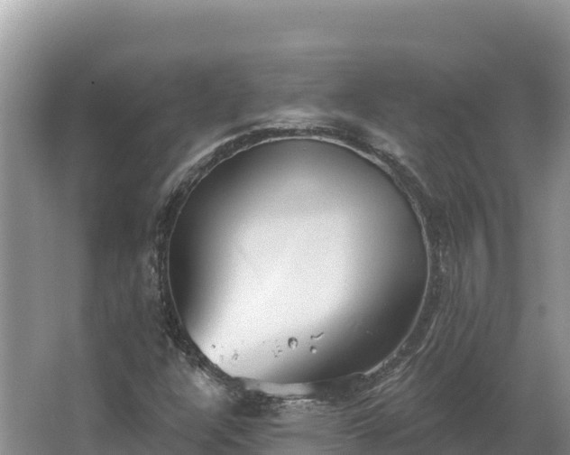 X0000067391304200604071743